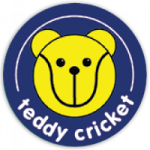 logo teddy cricket